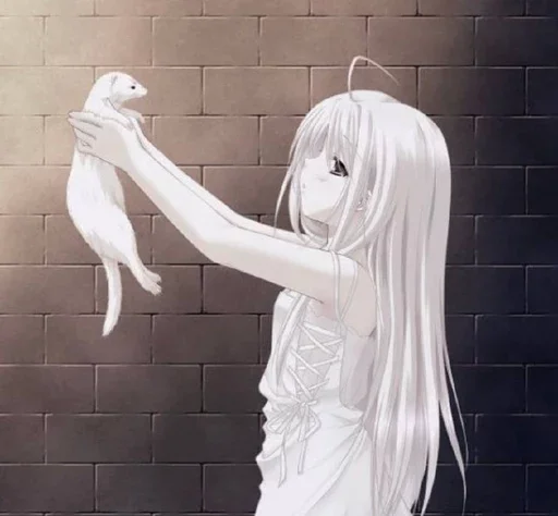 кить @okda46 кить @okda46 -