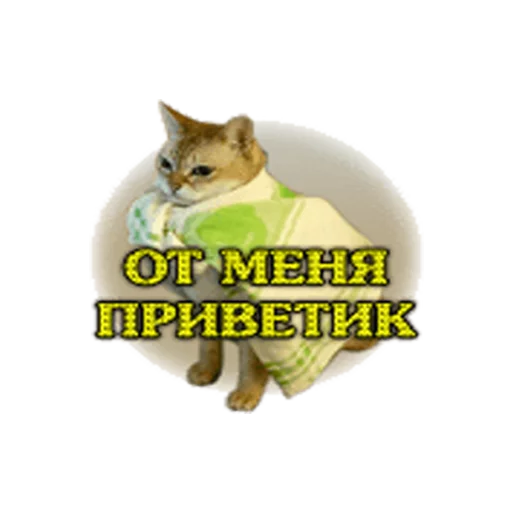 подарки ок подарки ок -