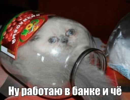 Тинька 2.0 Тинька 2.0 -