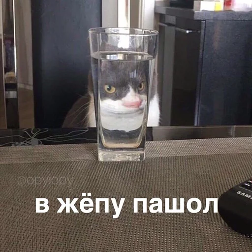 glass glass indoor container