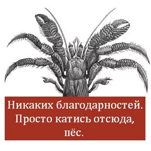 text text plant design