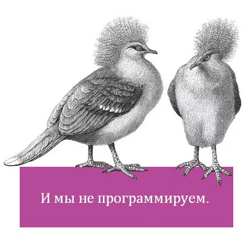 sketch sketch drawing bird