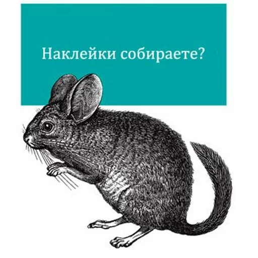 rodent rodent animal mammal