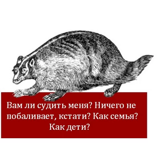 text text mammal animal