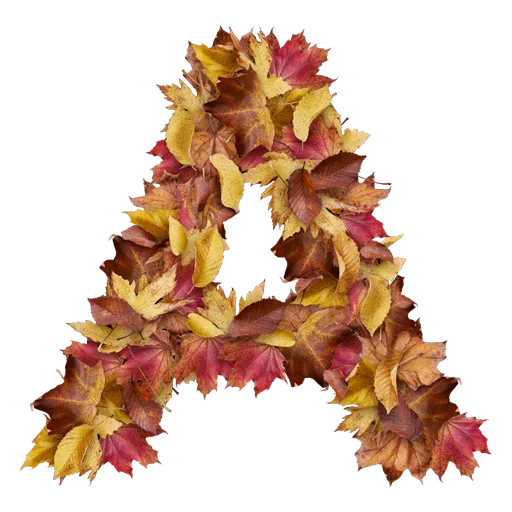 Autumnal @stickersb2b Autumnal @stickersb2b -
