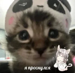 Sticker Больше стиков тут: @stikery4 - 0