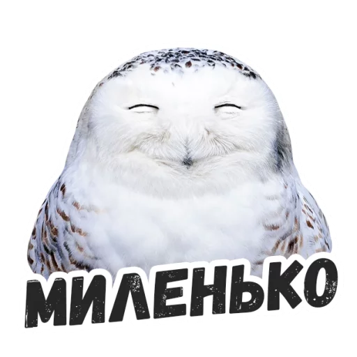 Жиза сов @lennysticker Жиза сов @lennysticker -
