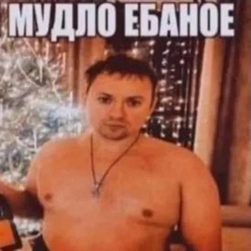 owneddog 2 owneddog 2 -
