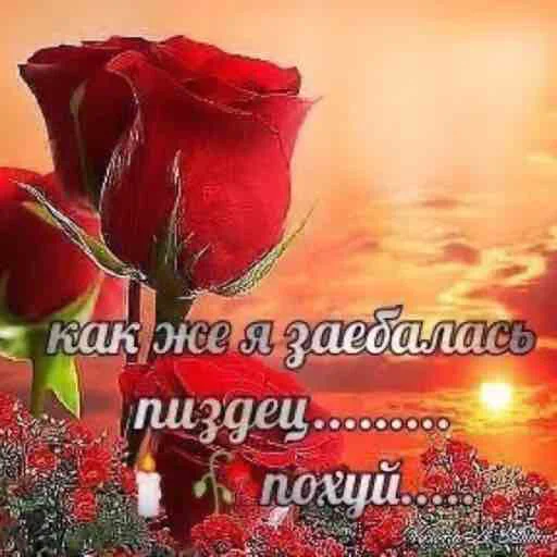 помогите мне помогите мне -