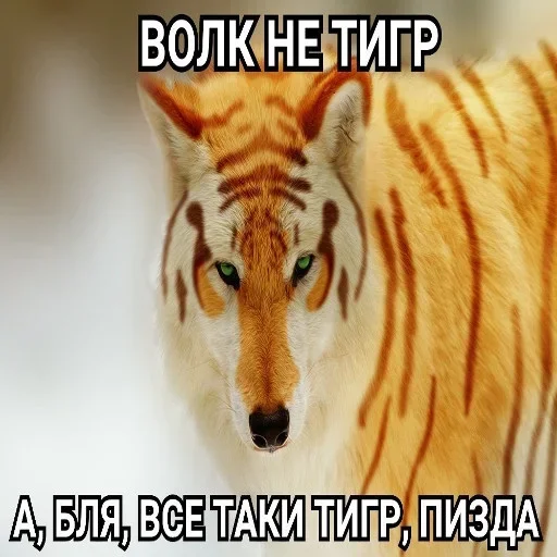 Больше стиков тут: @stikiin Больше стиков тут: @stikiin -
