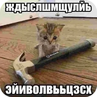 Sticker фриз ононимен?  @xjort - 11