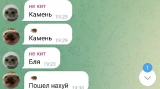 Sticker Создано в @sozdsti_bot - 2