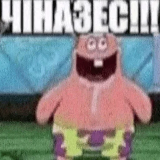 Kishechnik от @sovasigmo Kishechnik от @sovasigmo -