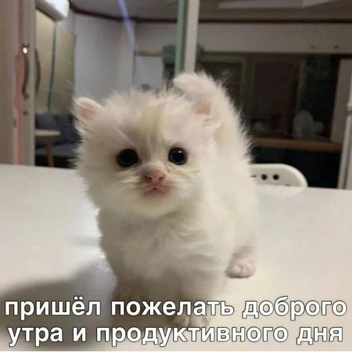 Создано в @sozdat_stikery_bot Создано в @sozdat_stikery_bot -