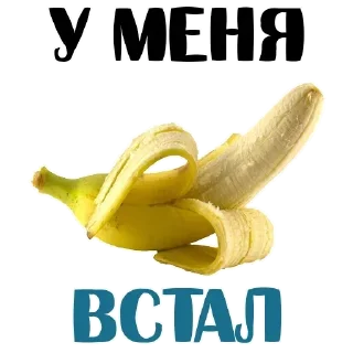 Стикер Стикеры ➡️ @StickersListBot - 3