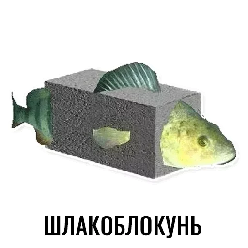 Стикеры ➡️ @DuoSticker_bot Стикеры ➡️ @DuoSticker_bot -
