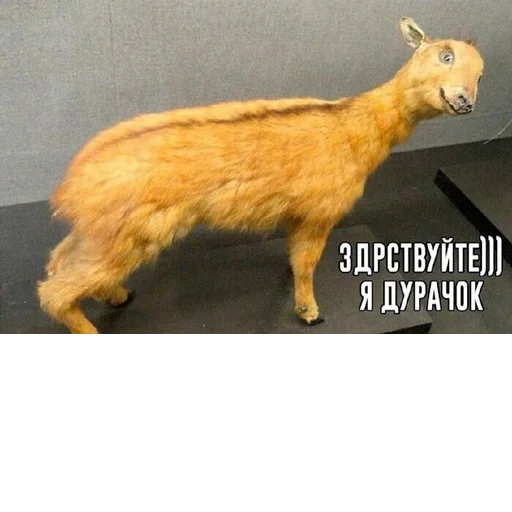 Создано в @sozdat_stikery_bot Создано в @sozdat_stikery_bot -