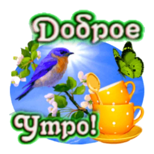 птица птица животное мультфильм