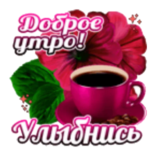 чашка чашка цветок кофейная чашка
