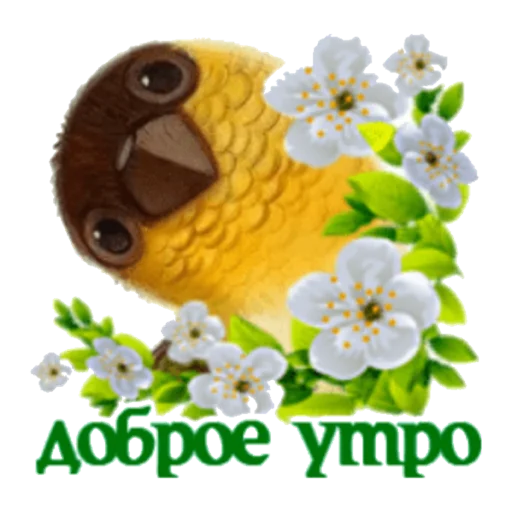 цветок цветок мультфильм