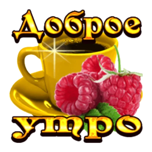 фрукт фрукт пища ягода