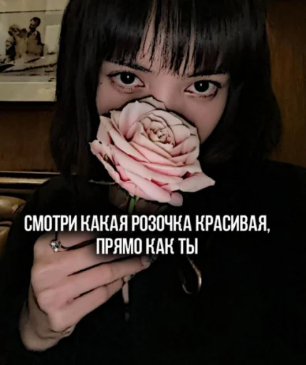Викуля @Ctikerubot Викуля @Ctikerubot -