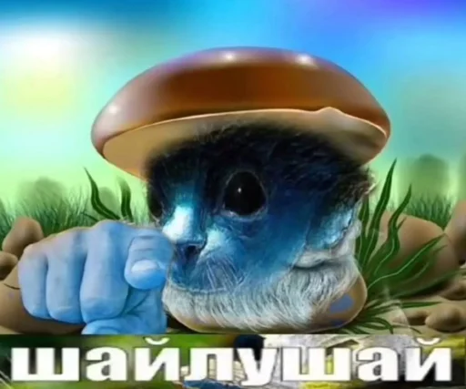 шайлушай @Ctikerubot шайлушай @Ctikerubot -