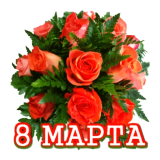 plant plant rose floral design