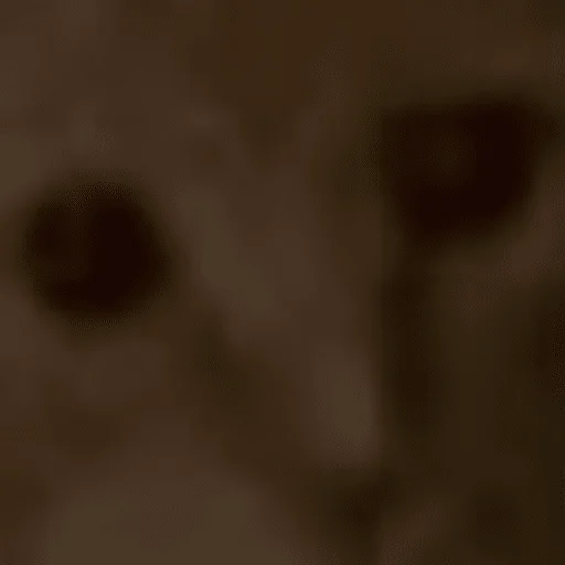 pack_mbabtmp pack_mbabtmp -