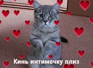Sticker 😁 Мемности из @JetStickers - 8
