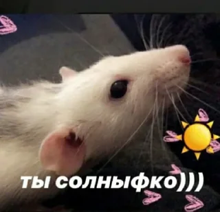 Sticker 😁 Мемности из @JetStickers - 2