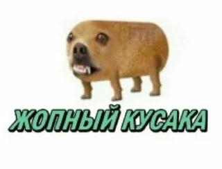 Sticker 😁 Мемности из @JetStickers - 11