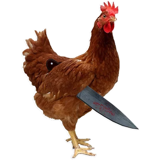 Пак Курей