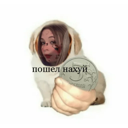 пампирап пампирап -