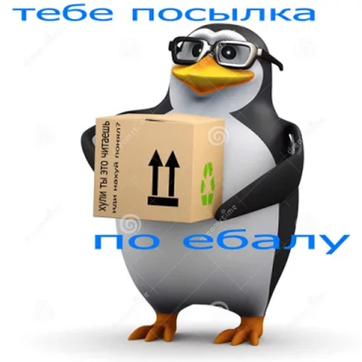 пингвин в очках пингвин в очках -