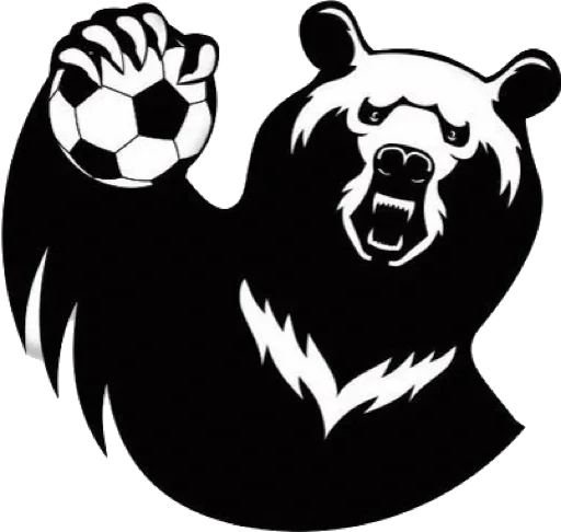 ПЕРМСКИЕ МЕДВЕДИ 🐻 ПЕРМСКИЕ МЕДВЕДИ 🐻 -