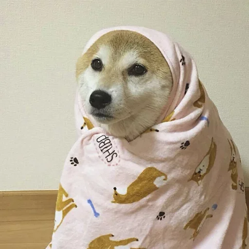 Пёськи Пёськи -