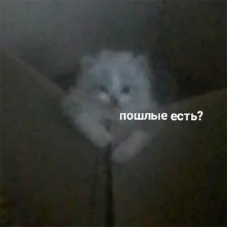 Sticker о привет ты че тут забыл - 8