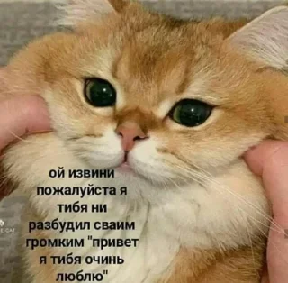 Sticker о привет ты че тут забыл - 5