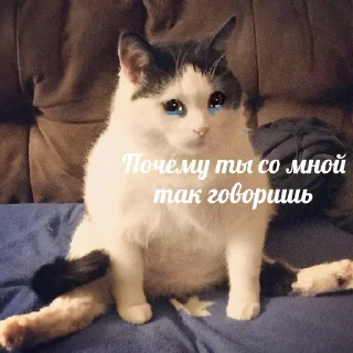 Sticker о привет ты че тут забыл - 6