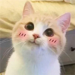 Sticker о привет ты че тут забыл - 3