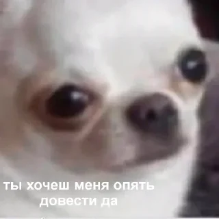 Sticker о привет ты че тут забыл - 7