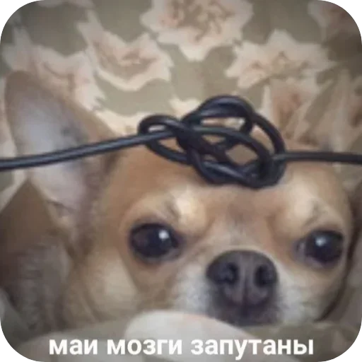 Больше стиков тут: @stikery4 Больше стиков тут: @stikery4 -