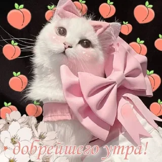 Sticker @pictureforcutepeople ночиутро - 0