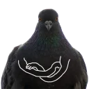 Pigeons with hands Pigeons with hands - животное