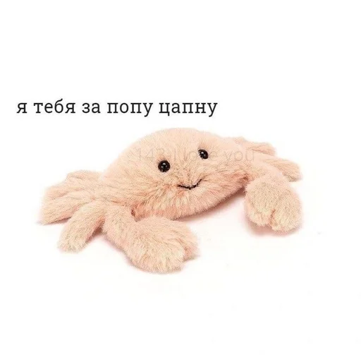 clothing clothing fabric teddy
