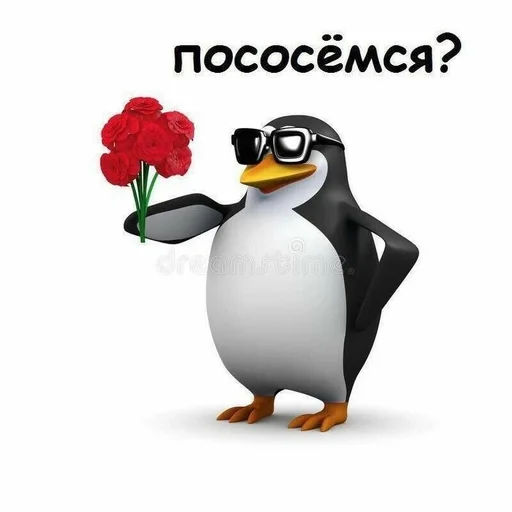 penguin penguin aquatic bird flightless bird