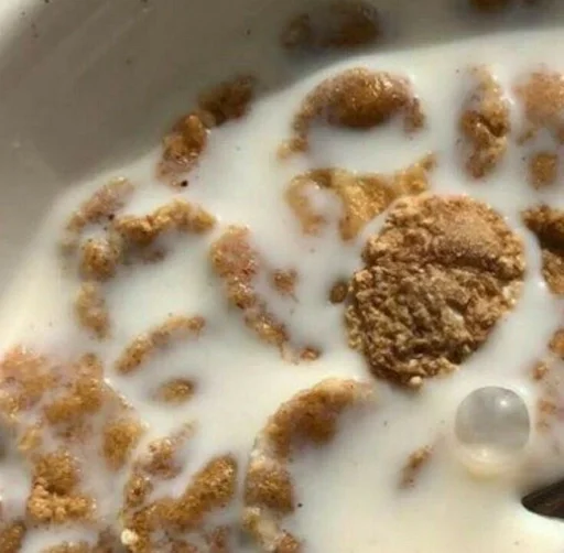 snack snack dairy food