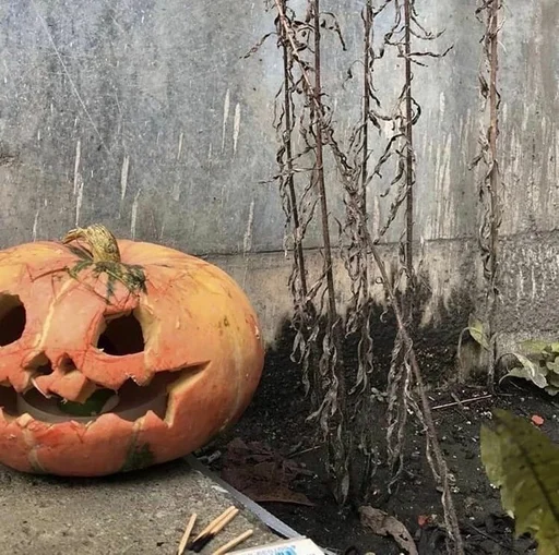 vegetable vegetable halloween pumpkin