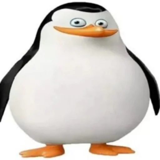 пингвин 🐧 пингвин 🐧 -